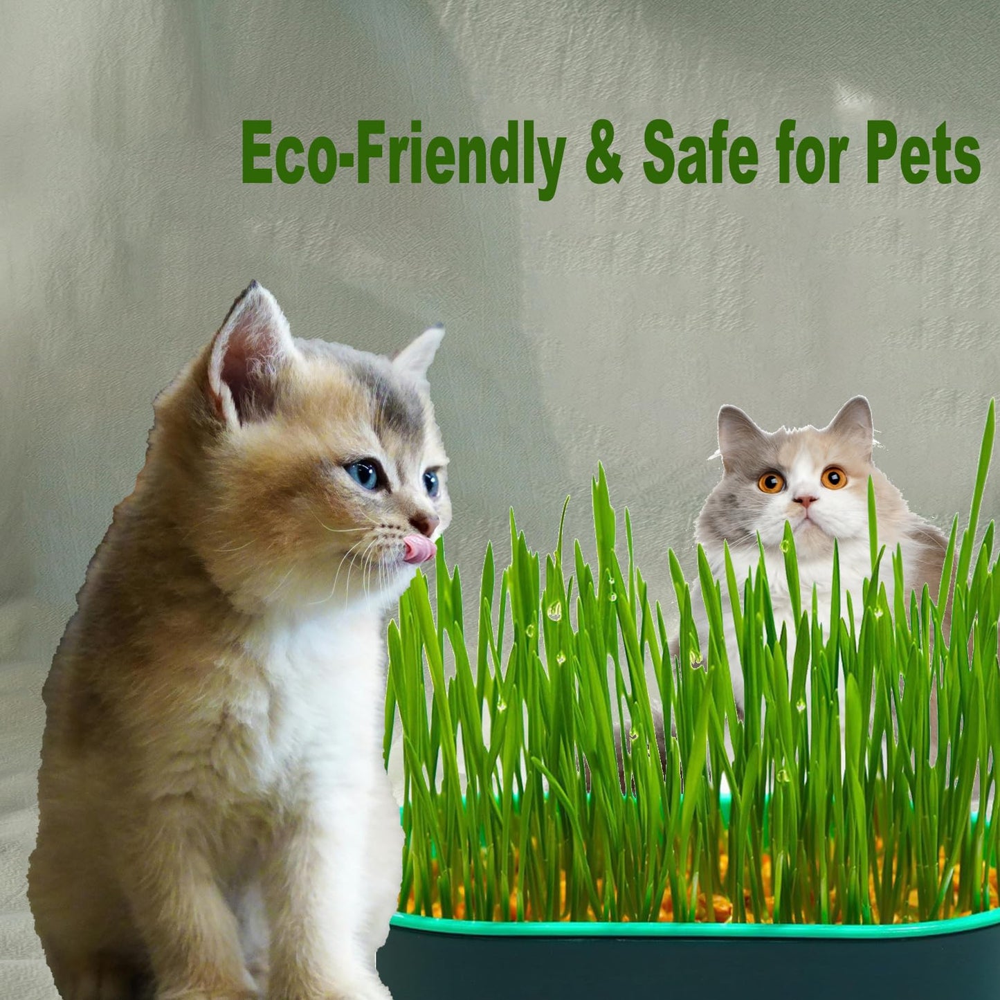 LIFTATAPA 3Pcs Cat Grass Planter, Plastic Wheatgrass Planting Trays Hydroponic Cat Grass Growing Kits for Indoor Cats Soilless Nursery Box Pet Grass Pot (3 Color)