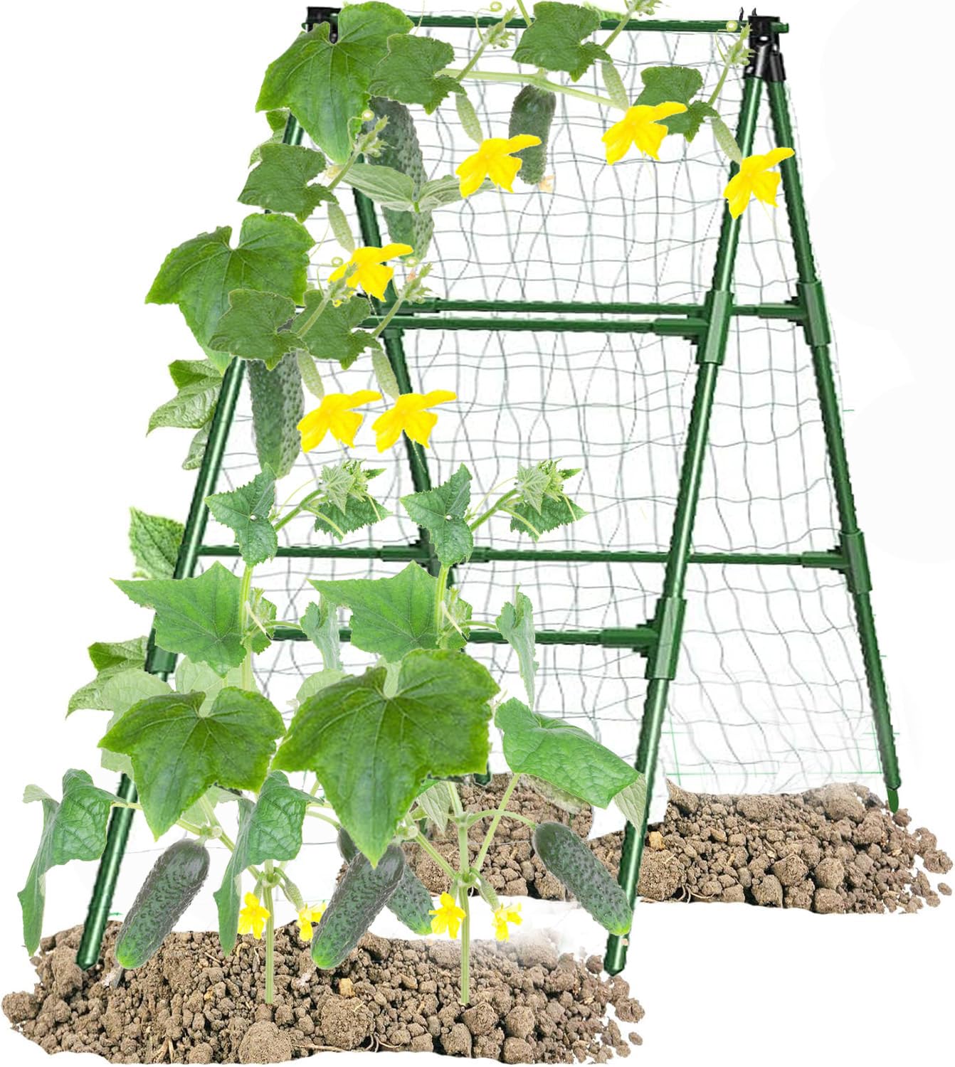 JK-GMTE Cucumber Trellises A Frame Plant Supports Green Trellis for Cucumber, Climbing Plants Vegetables Flowers (Green) 47x15in