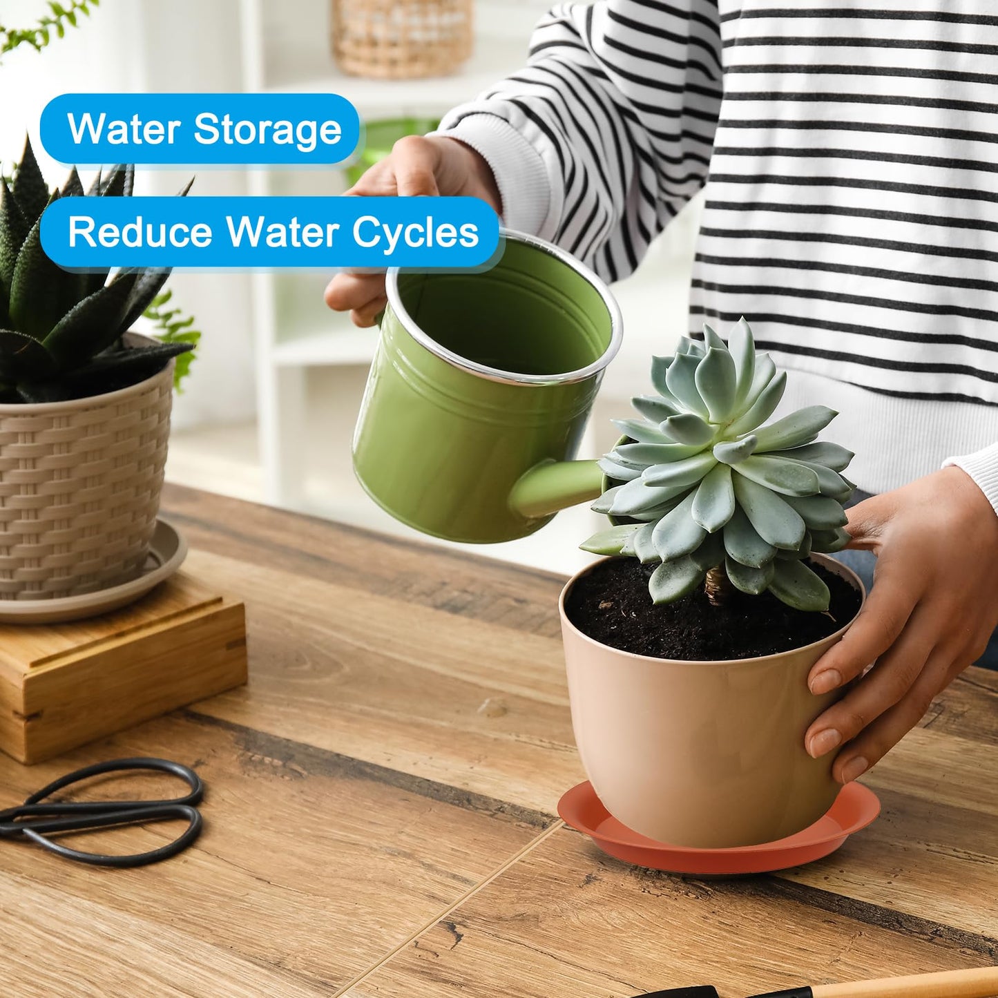 PATIKIL 10 Inch Plant Saucer Tray, 5 Pack Plastic Drip Tray Round Collects Excess Water Flower Pot Drainage Trays for Heavy Indoor Outdoor Pan, Green