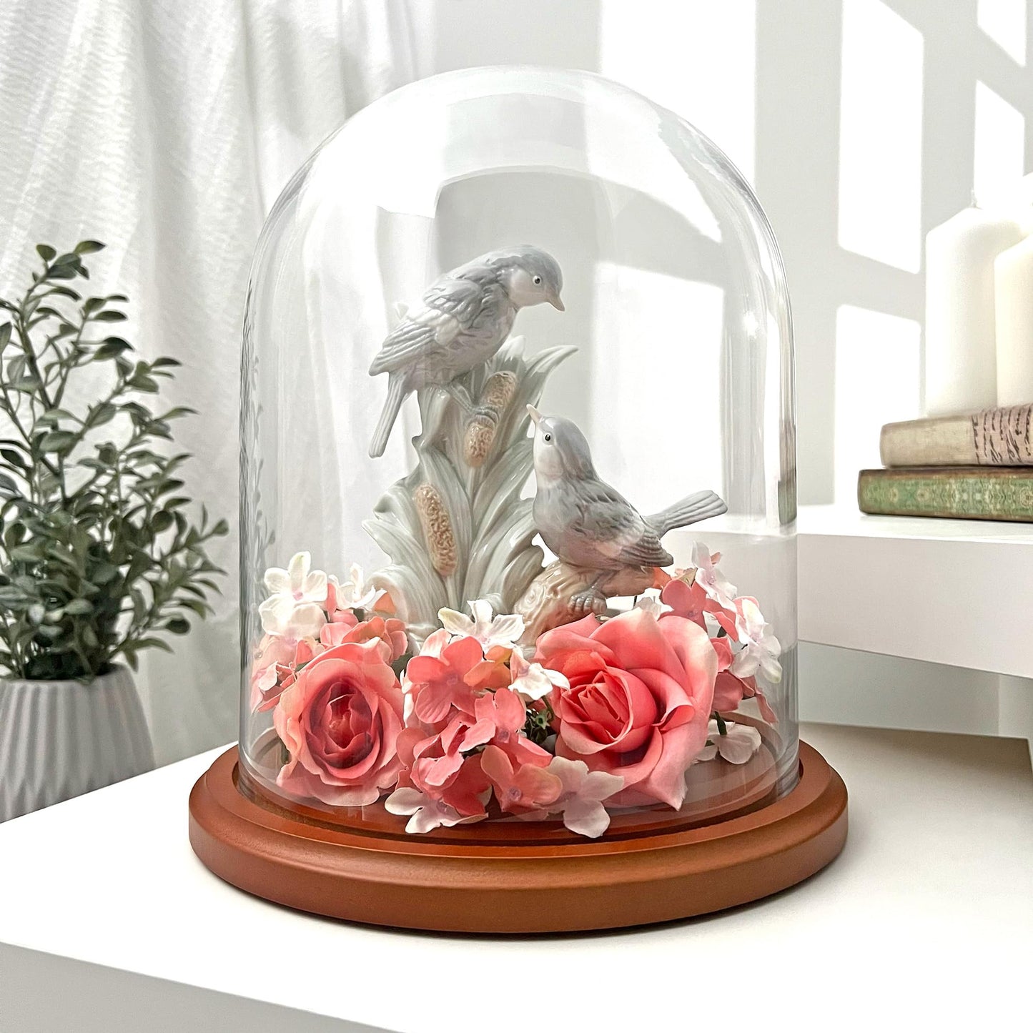 Plymor 8" x 10.25" Glass Display Dome Cloche (Walnut MDF Base)