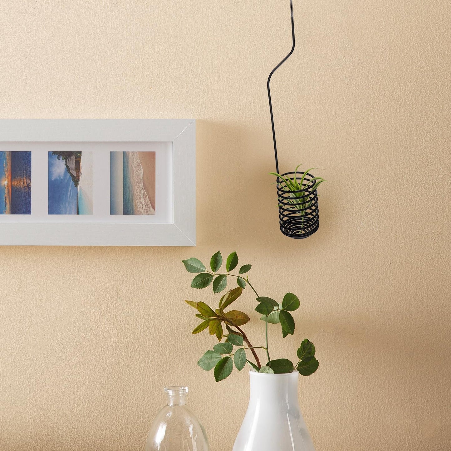PAMINGONO 2 Pcs Air Plants Holders Hanging Hooks Spiral Plant Display Hangers 37cm Metal Air Fern Holders for Wall and Ceiling Indoor Garden Decor