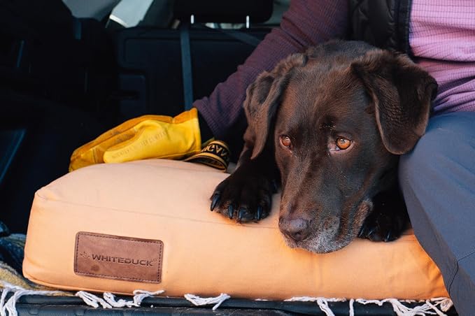 WHITEDUCK Outdoor Dog Bed Heavy-Duty 12oz Canvas, Water-Repellent Cotton, Machine Washable Removable Cover with Full-Length Zipper, Dog Bed for Large Dogs & Crate, (Brown) 35" Lx20 Wx4.3 th (M)