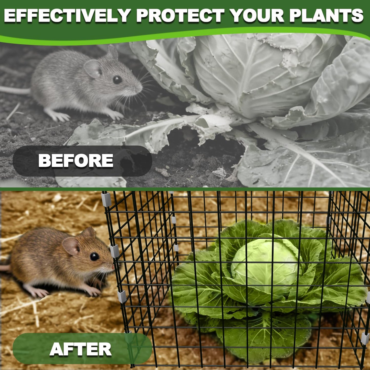 12x12 Inch Chicken Wire Mesh Plant Protectors from Animals Garden Netting Plant Covers Bird Netting for Garden Plant Cages for Outdoor Plants Garden Cloche