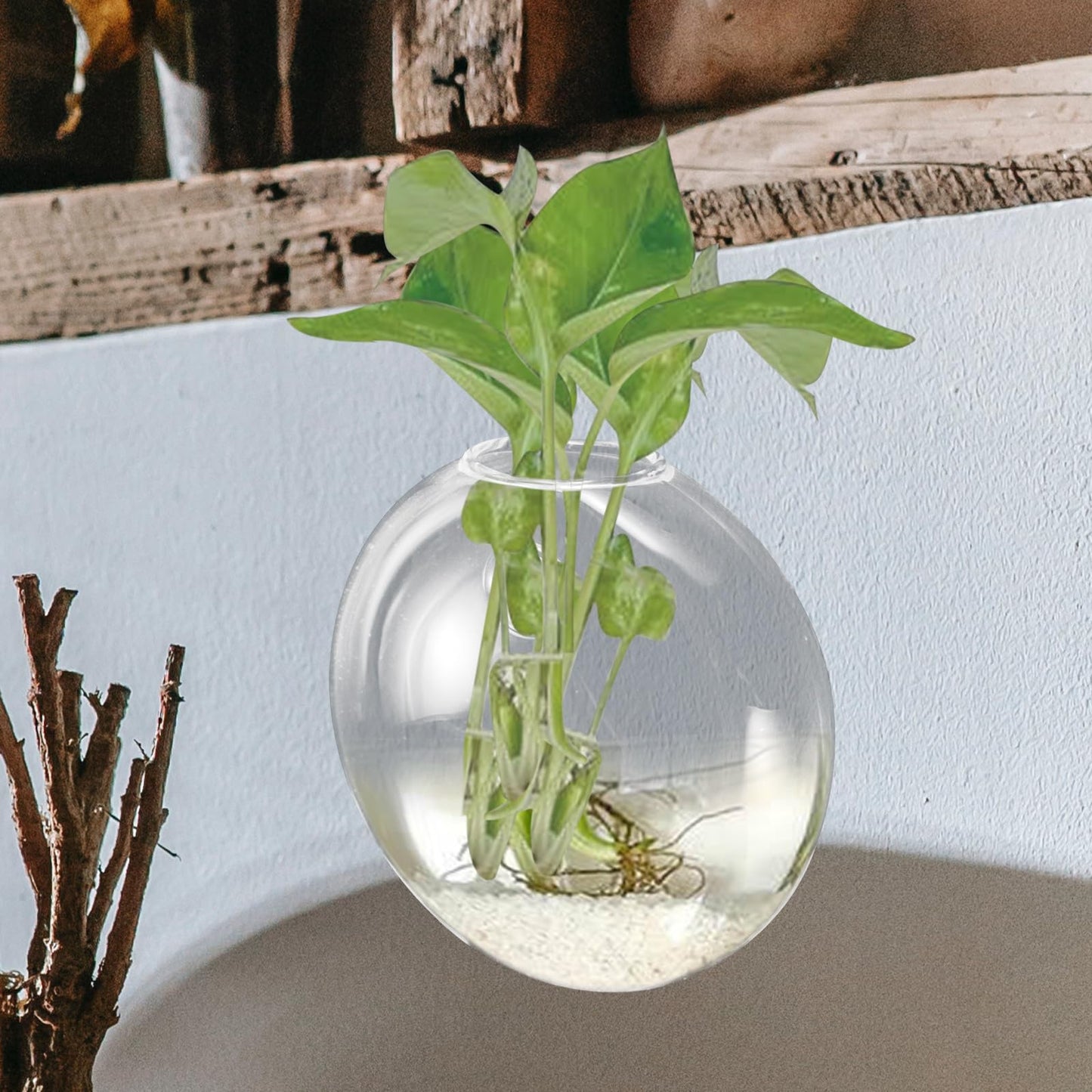 NUOBESTY Wall Mounted Hydroponic Vase Glass Planter Hanging Plant Terrarium Bottle for Indoor Home Décor Hydroponic Plants,
