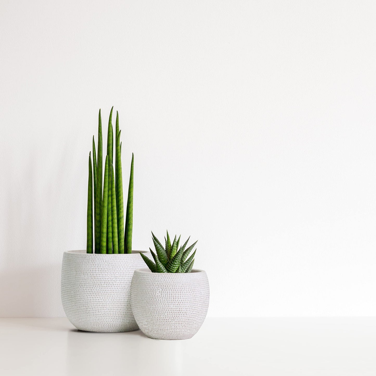 Olly & Rose Barcelona Ceramic Plant Pot Set 2 - White Flower Pots - Indoor & Outdoor Planters (White)