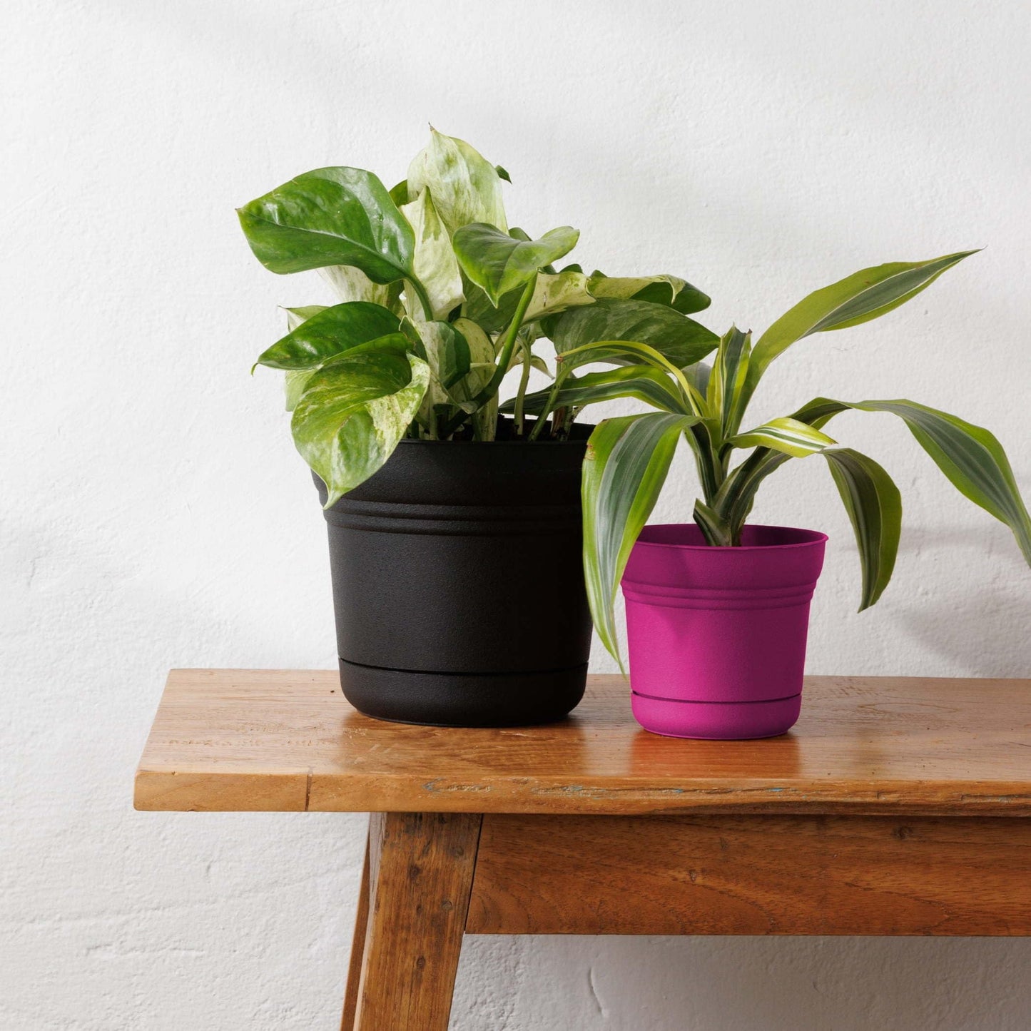 Bloem Saturn 5" Fuchsia Round Planter Pot with Snap-in Saucer for Indoor or Outdoor Gardening, Made in USA