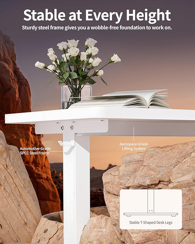 BIZUM Standing Desk Electric Adjustable Computer Desk-Stand up Desk Office