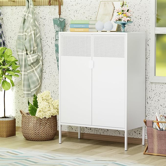 Washsemba 2 Mesh Door Metal Storage Cabinet