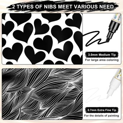 Paint Markers Paint Pens - 2 Pack Dual Tip Acrylic Permanent Marker (0.7mm & 3mm), Non-Toxic, Water-Based for Art Painting, Stone, Ceramic, Glass, Wood, Fabric, Metal, DIY Crafts (Black/White)