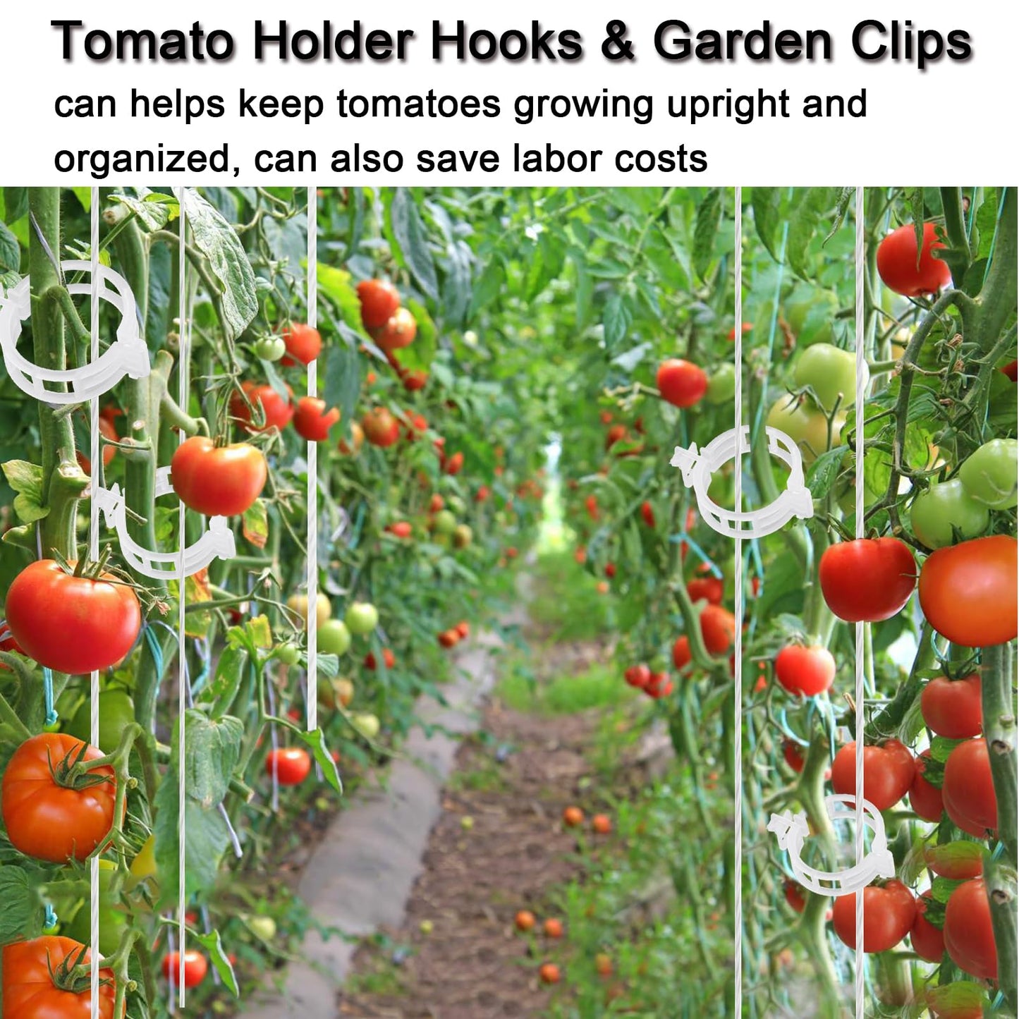Hidbot Tomato Support Hooks with String,20 Pack Tomato Trellis Roller Hooks with 49.2FT String for Plant,Greenhouse Tomato Flower Vine Twine Crop Trellis Kit Plant Roller Hook