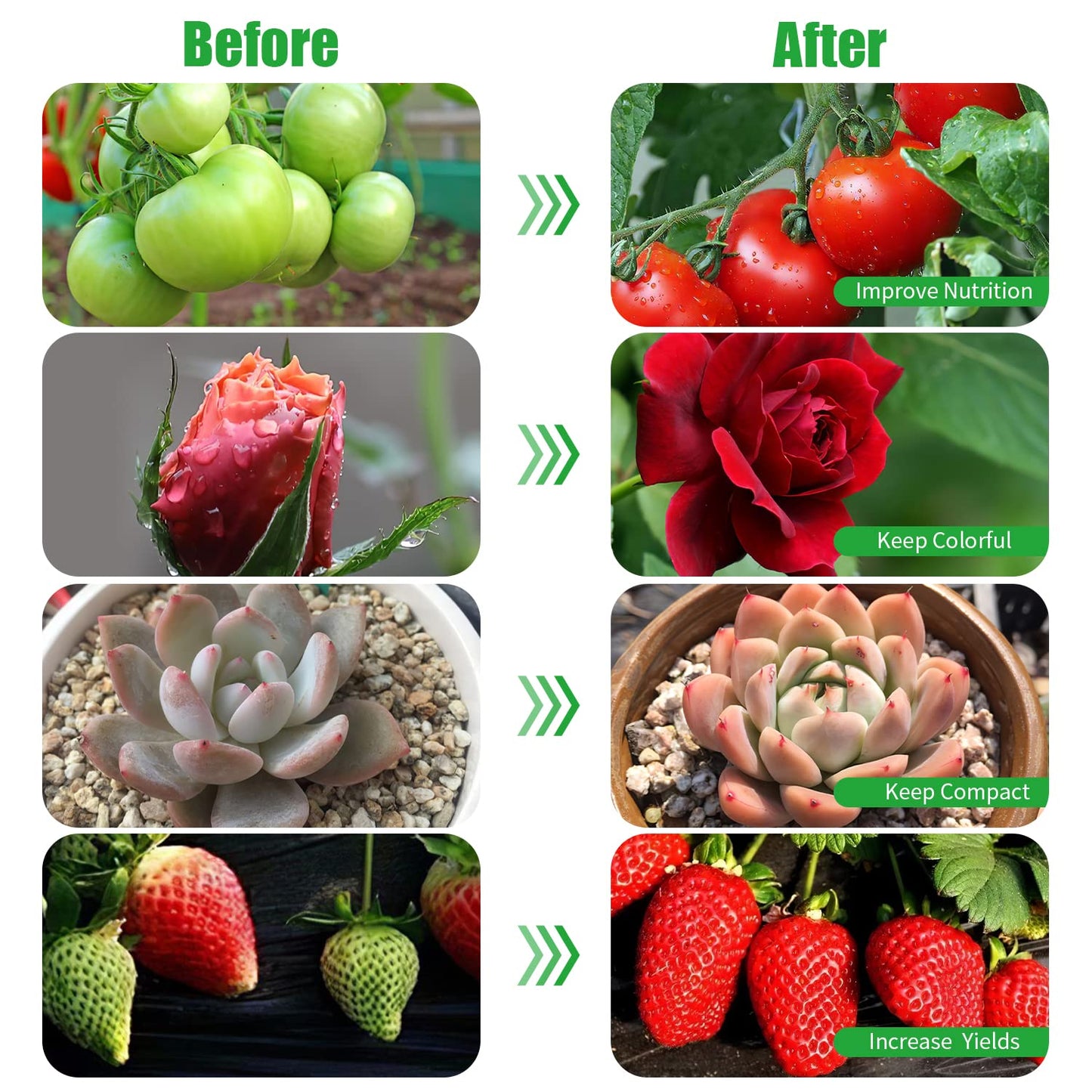 Grow Lights for Indoor Plants, Upgrade 84 LEDs Clip Plant Lights, Full Spectrum LED Plant Growing Lamps with Flexible Gooseneck, 3/9/12H Timer, 3 Spectral Modes, 10 Dimmable Levels (2 Head 1 Pack)