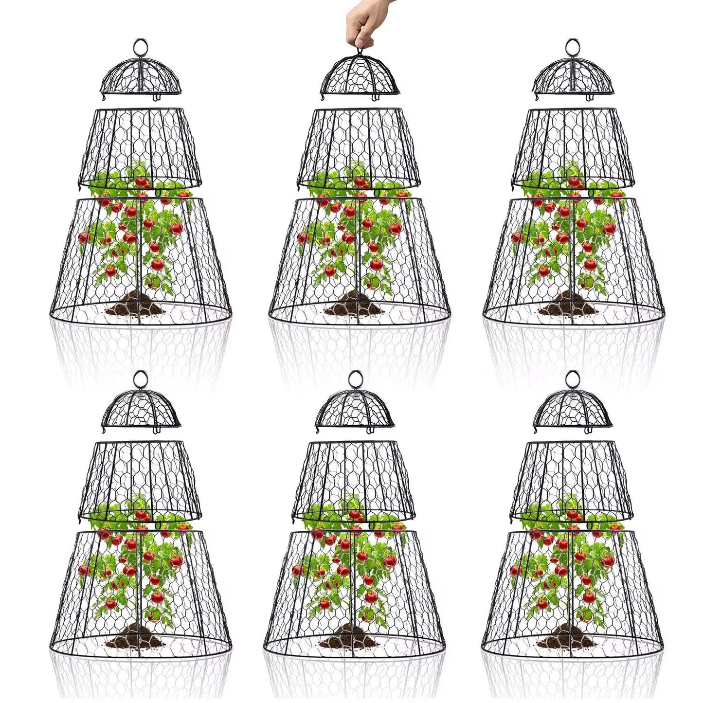 Dadywheels Easy-Snap Open Design Chicken Wire Cloche (6-Pack) - Adjustable Garden Plant Protectors from Birds & Animals for Large Plants & Flowers,14" D x 20" H