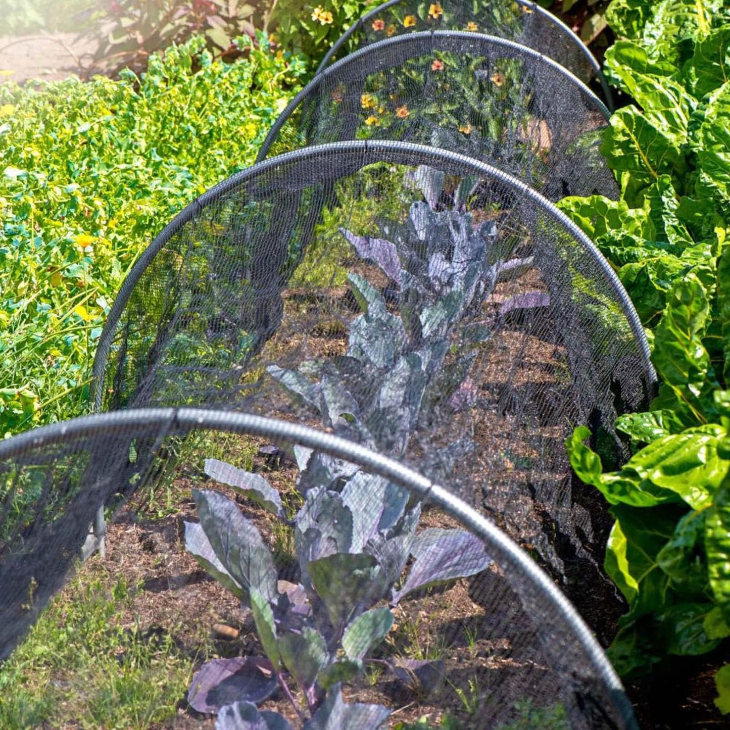 39 x 10 Ft Mosquito Netting for Garden Patio, Breathable Mesh Net for Bird and Insect Protection, Plant Cover for Vegetables, Fruits and Flowers, 3x12m Black
