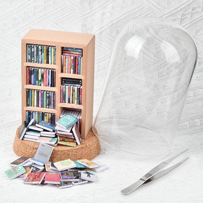Anxiety Bookshelf, Miniature Bookcase, Mini Bookshelves