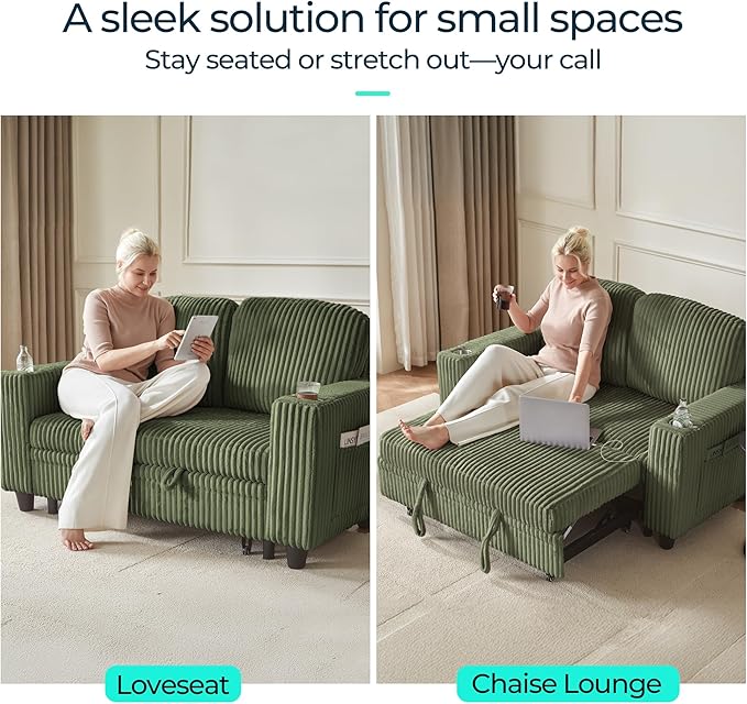 LINSY HOME Loveseat Sofa with Pull Out Couch Chaise: 2-in-1 Convertible 2