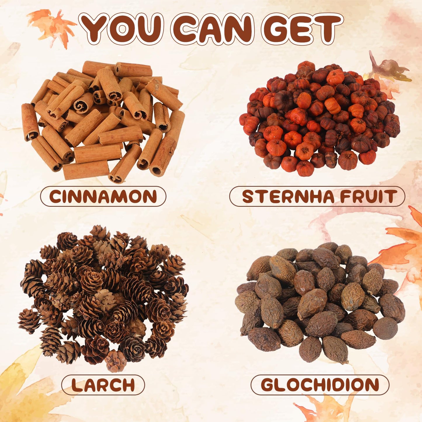 Dansib 7 Heaping Cups Pumpkin Pods, Bowl, or Vase Filler Mix with Mini Pumpkin Pods, Pine Cones, Cinnamon Chunks and Rose Hips, for Vase, Jar Fillers, Thanksgiving and Autumn Decor