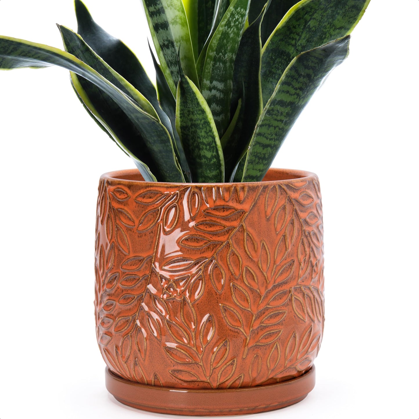D'vine Dev 8 Inch Embossed Leaves Stoneware Planter Pot with Drainage Hole and Saucer, Pumpkin, 27-A-Q-J