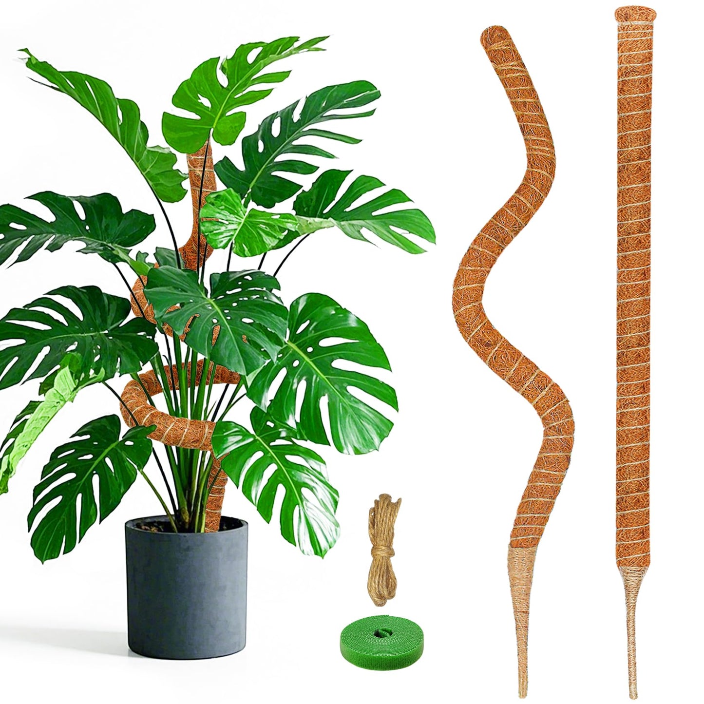 Dimpoo 2 Pack 39 Inch Moss Pole Monstera Plant Support, Coir Moss Poles for Climbing Indoor Plants, Bendable Plant Stake Trellis for Potted Plant, Pothos, Philodendron