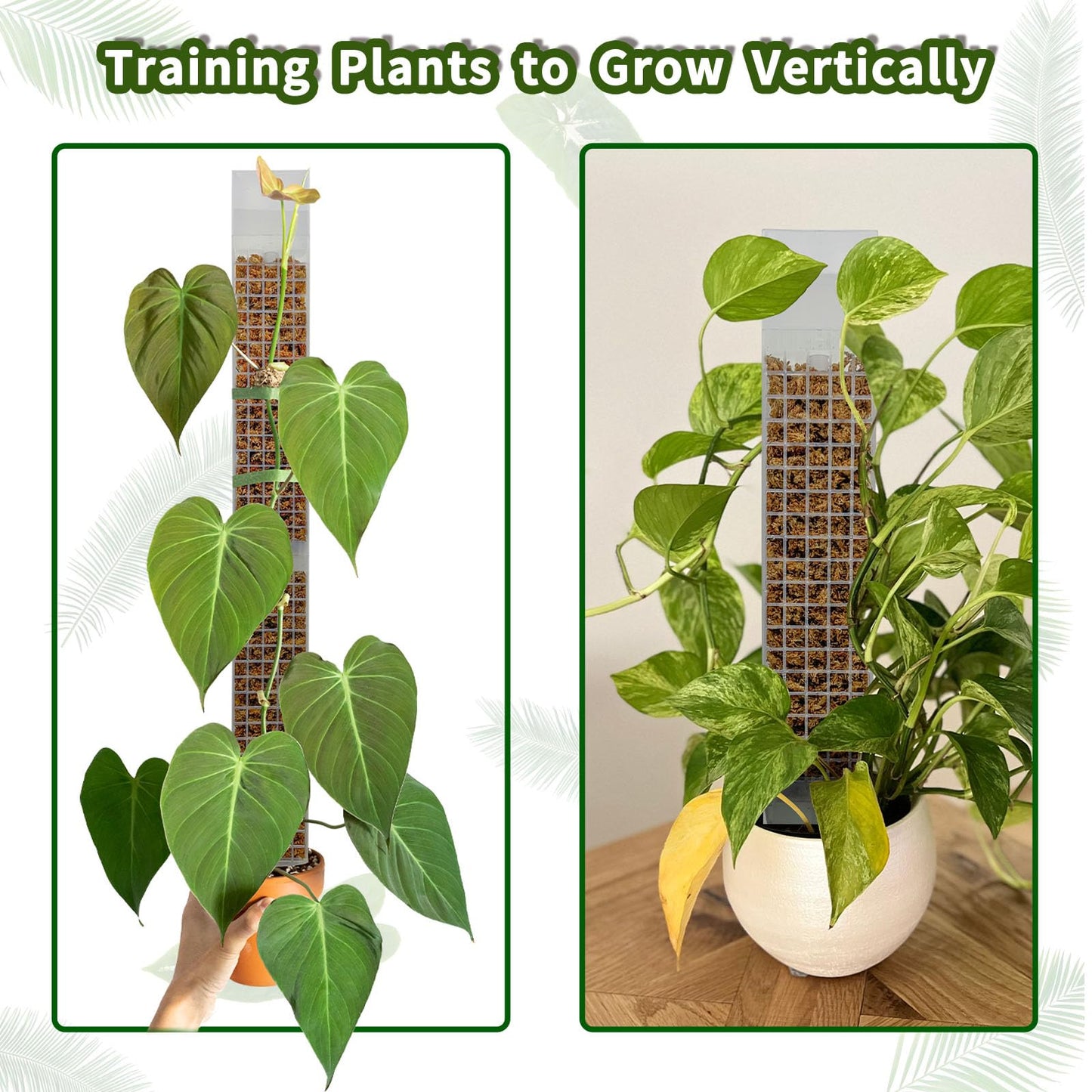 HYYZ 2PCS 18.7-Inch D-Shaped Self-Watering Moss Pole - Plastic Monstera Support for Indoor Climbing Plants. (2, White)