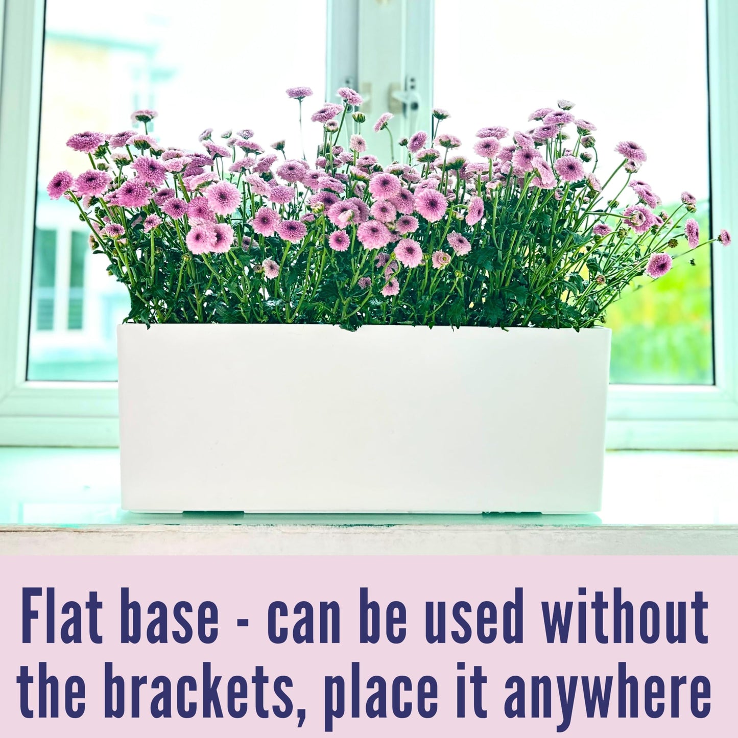 LaLaGreen Bundle- 4 Pack, 14 Inch Rectangular Self Watering Planter + 2 Pack, 11 Inch Round Self Watering Basket Rattan Style Balcony Flower Pot Window Wall Mount Plants Boxes Modern Home Garden Decor
