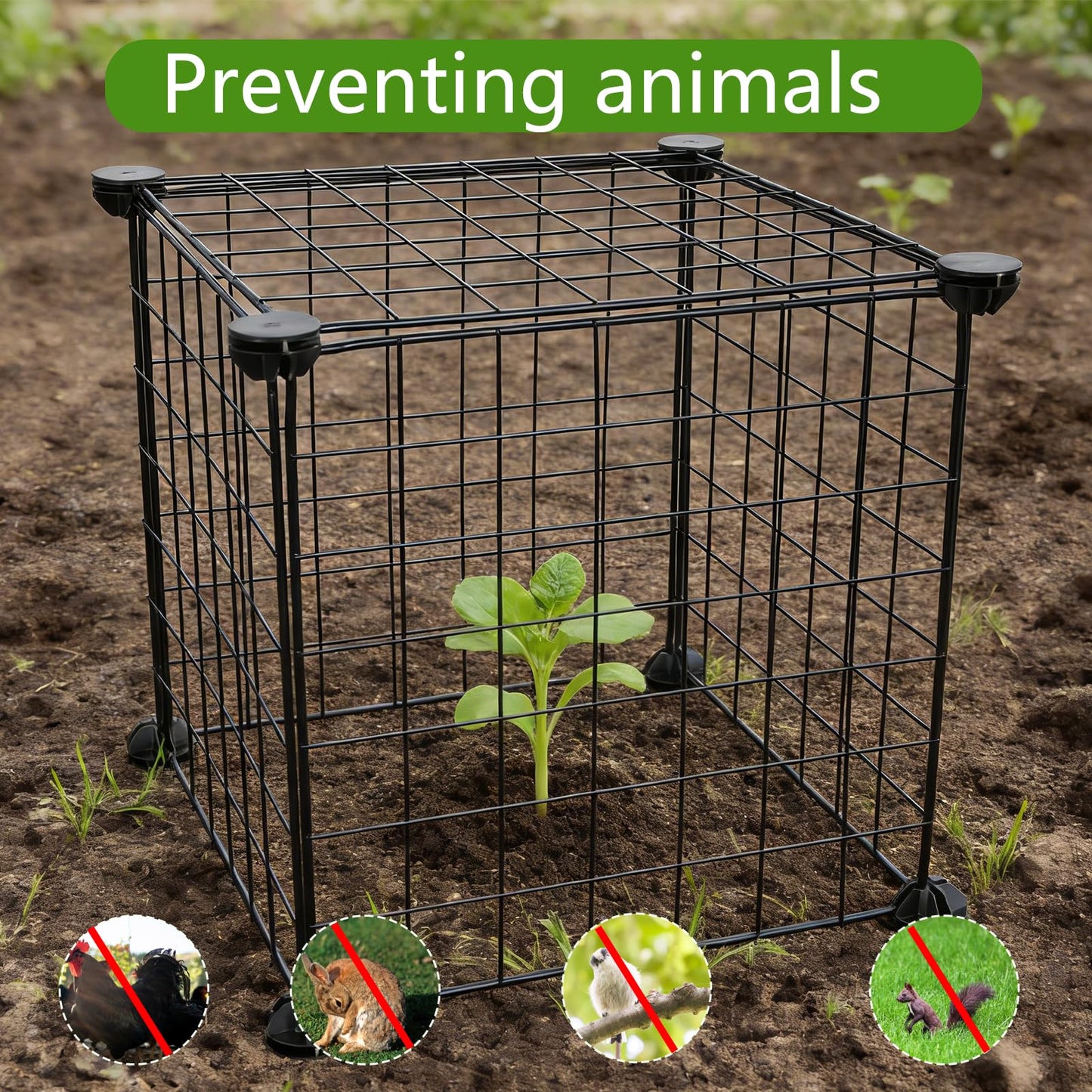 CIEOVO Plant Protectors from Animals, Heavy Duty Metal Plant Cages, 12"x12" Chicken Wire Cloche for Plants Wire Plant Covers Garden Protection Garden Plant Cloche, Chicken Wire Cloche Plant Protector