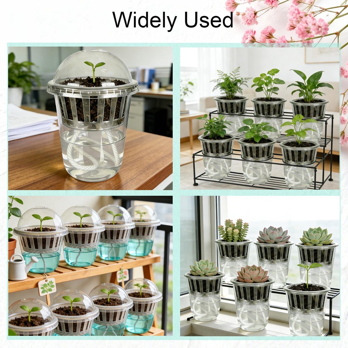 Niiiice 24 Pack 4 inch 360 ML Clear Self Watering Plant Pots, Transparent Plant Germination Nursery Pot, Seed Starting Container for Indoor Outdoor Planting Seedling