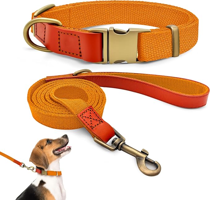 Dog Collar and Leash Set with Metal Quick Release Buckle, Adjustable, Breathable Nylon, Durable, Soft and Comfortable, No Pull for Walking and Training, Orange, M (12.5"-19.6")