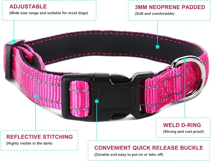 Soft Neoprene Padded Dog Collar and Leash Set for Small Medium Large Dogs, Reflective Durable Nylon Dog Collar with 5ft Leash Easy for Walking, Hot Pink,Neck fit 12.5-19.5’’