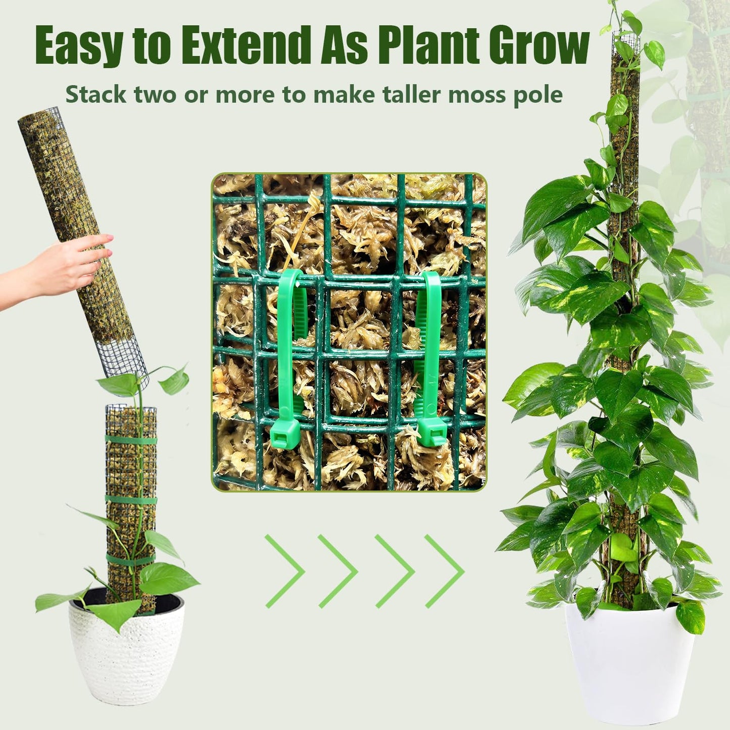 60" Metal Moss Pole, 2 Pack Moss Poles for Plants Monstera, Stackable Sphagnum Moss Pole, Plant Poles for Climbing Plants Work with Sphagnum Moss(2 Pack 60")