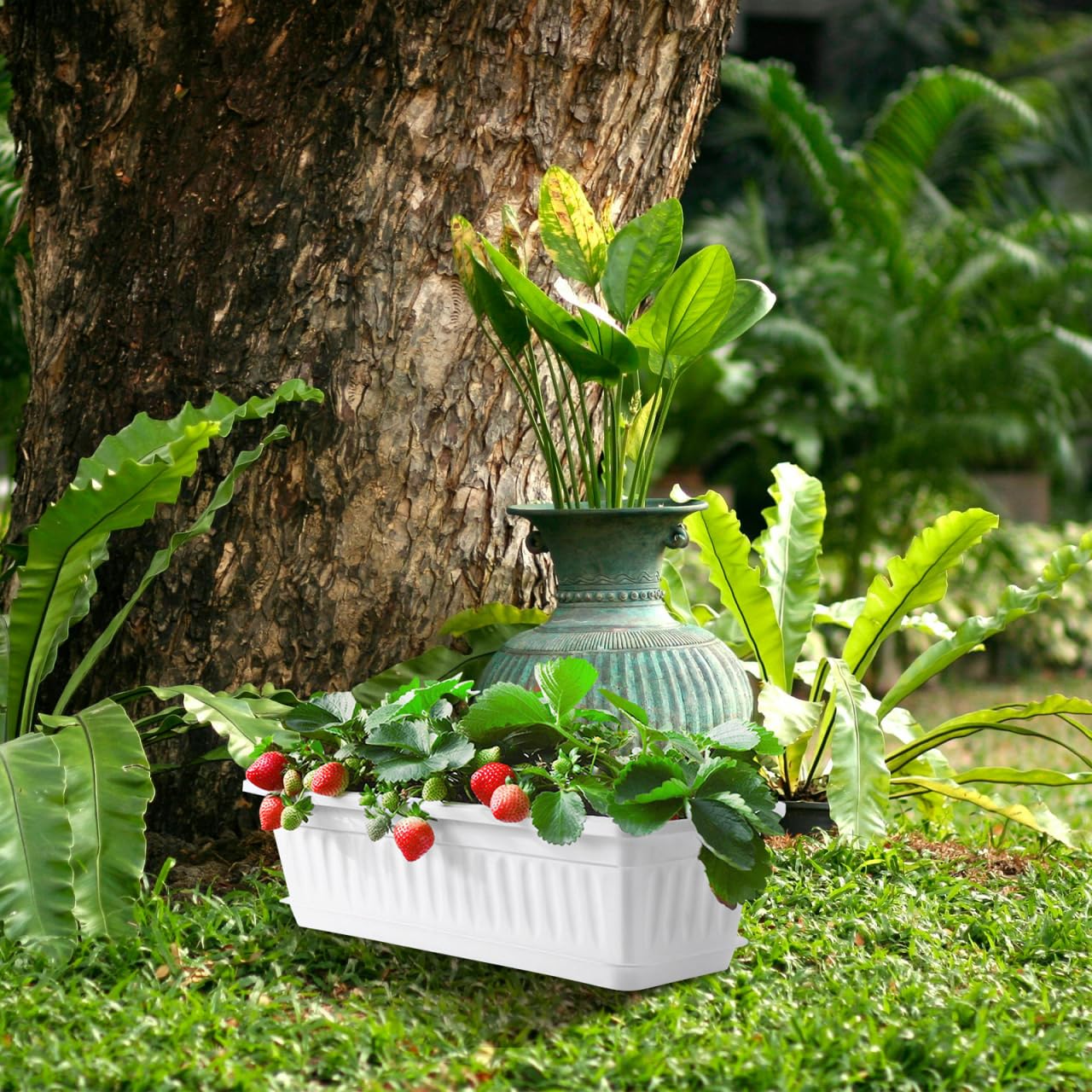 Healvian Rectangular Plastic Planter Pot 2 Pack with Drainage Saucers 5.5X7.4X5.5 Inches Indoor Outdoor Garden Vegetable Succulent Flower Box