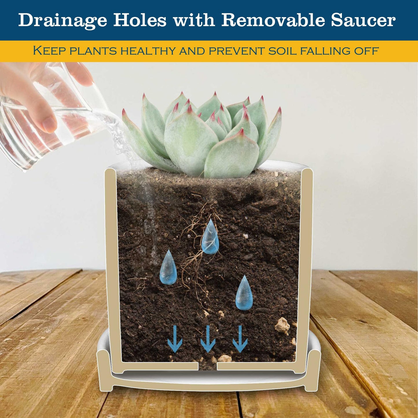 Lzracotz 4.3 inch Ceramic Emotional Support Plant Pot, Funny Succulent Pots, Cute Cactus Planters with Drainage Hole, Funny Plant Pot Emotional Support Cactus