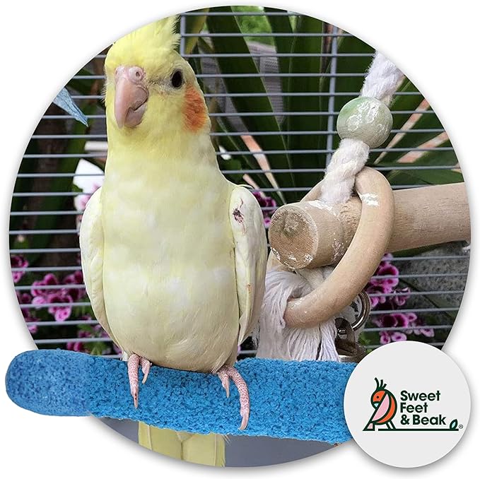 Sweet Feet and Beak Comfort Grip Safety Perch for Bird Cages - Pedicure Perch for Birds to Keep Nails and Beaks in Top Condition - Safe Easy to Install Bird Cage Accessories Small 6.5" - Green