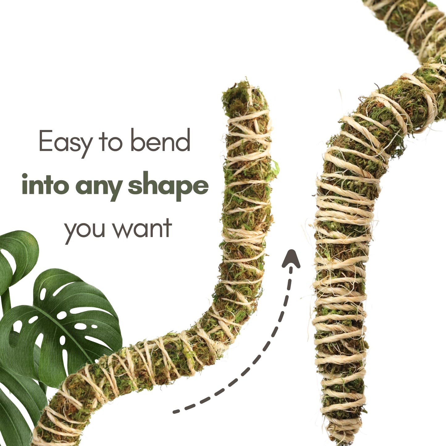 Mossify Bendable Moss Pole for Monstera 3 Pack (16" / 30" / 42") – Flexible Moss Pole Stakes for Indoor Plants – Premium Forest Moss with 3-Prong Stake System – Indoor & Outdoor Plant Trellis Set