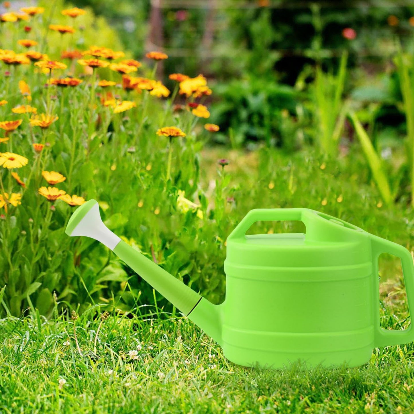 1 Gallon Watering Can Indoor Plants with Removable Sprinkler Head and Handle, Plastic Long Spout Watering Cans for Flower Garden Plants Indoor House Bonsai