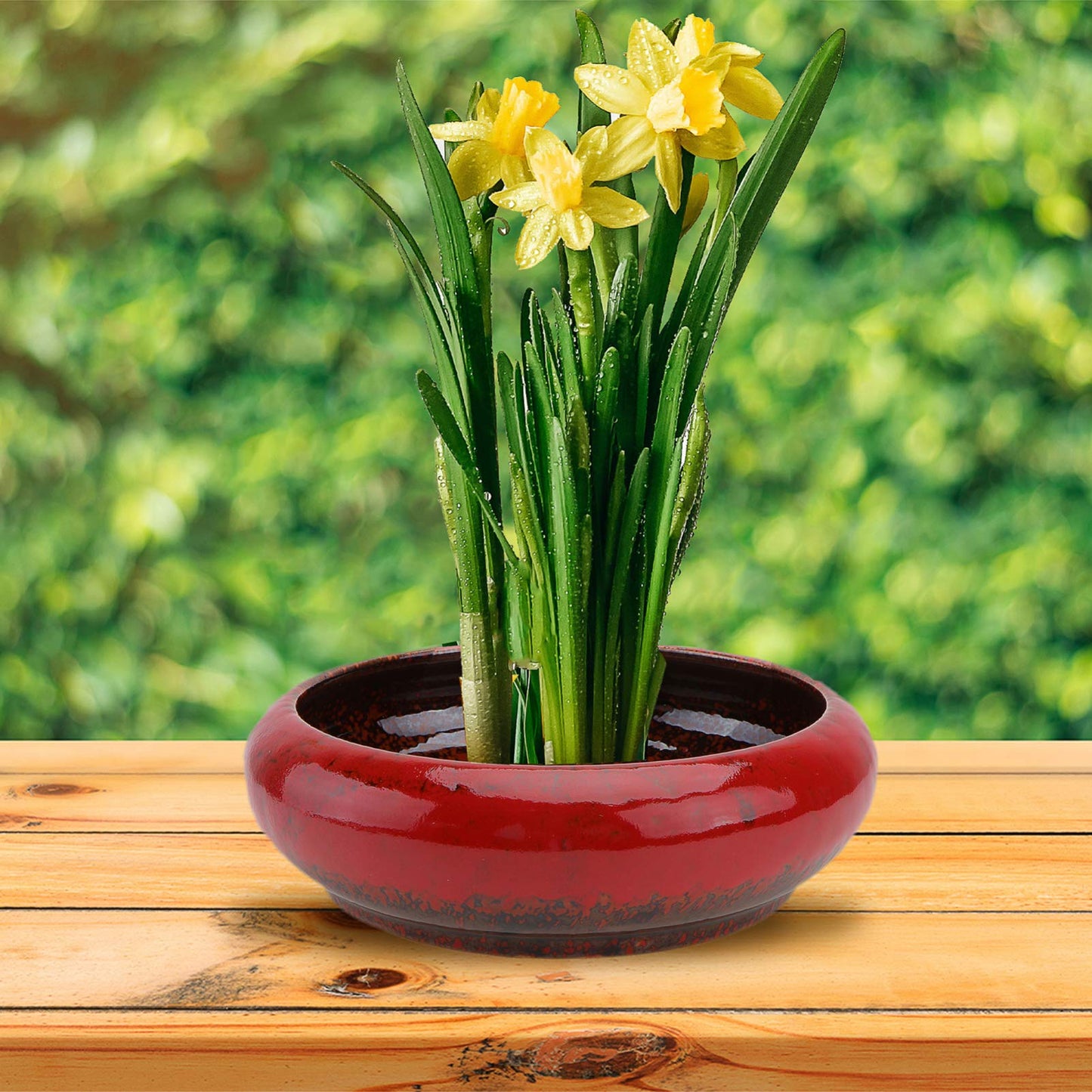 Hydroponic Ceramic Flower Pot 7.28 Inch Succulent Planter with Drainage Hole for Indoor Balcony Office Garden Decoration