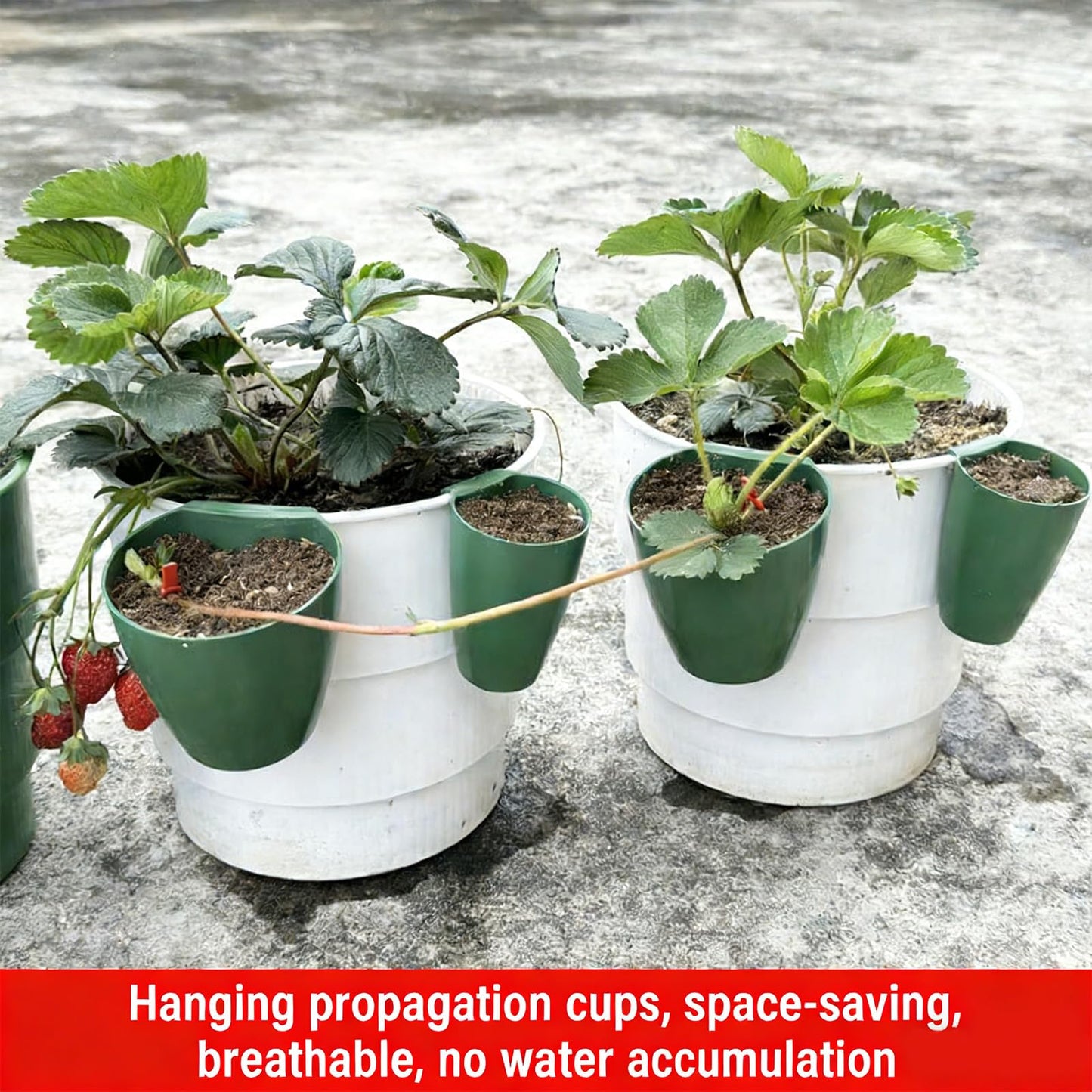 Kangnice Garden Trays Tool for Strawberry Runners Featuring Breathable Cups and Runner Forks to Enhancing Survival Rate and Growth Drainage Planting Cups