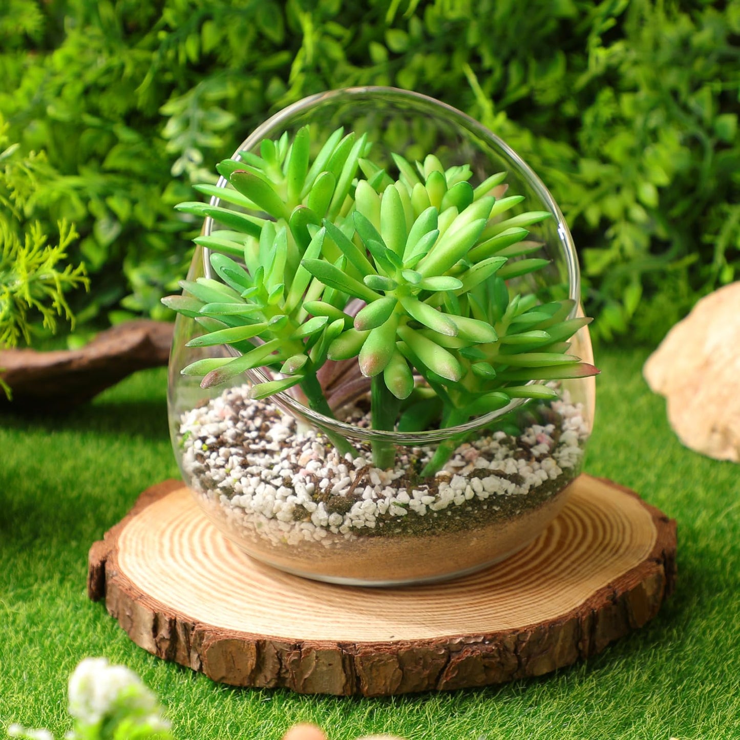 Clear Slant Cut Bubble Bowl Glass Vase Bowl Round Terrarium Orb Candy Dish Fruit Jar Floral Container for Home Office Decor