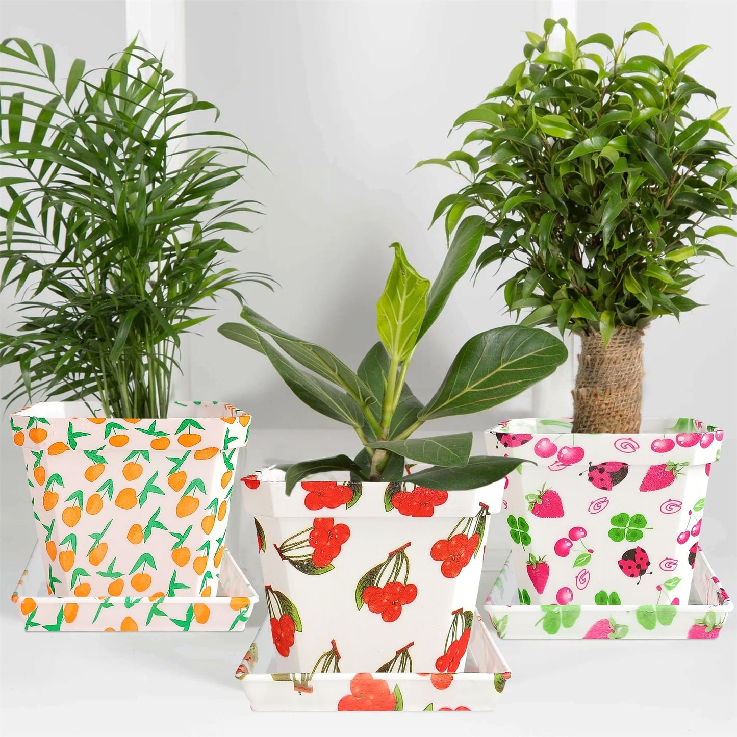 Plant Pots 4 Inch Square Plastic Decoration,Flower Pots Retro Design,Flower Pot with Drain Hole and Tray,for Outdoor Indoor Garden Home Plants (Fruit,4pcs)