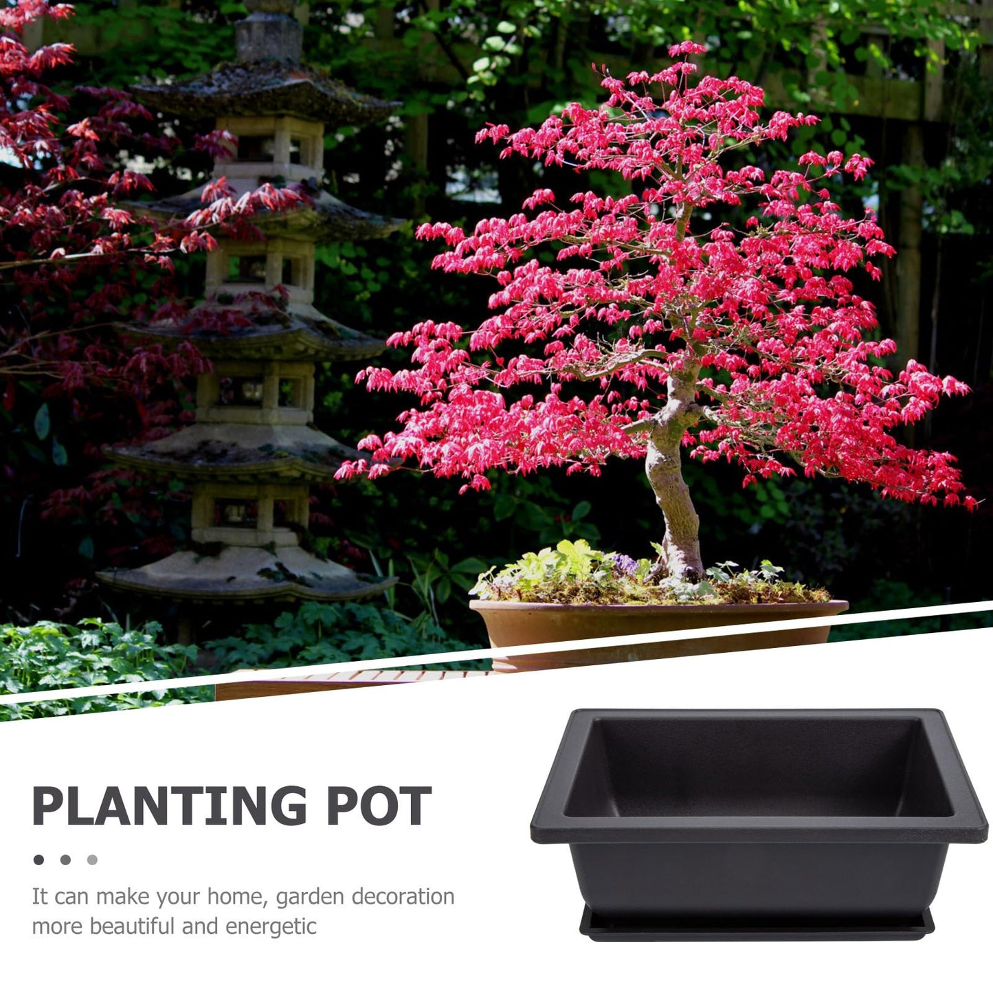 GANAZONO 5Pcs Plastic Bonsai Planters with Drainage Trays 6.49X4.72X2.36In Small Rectangular Flower Pots for Indoor Succulent Plant Growing and Gardening