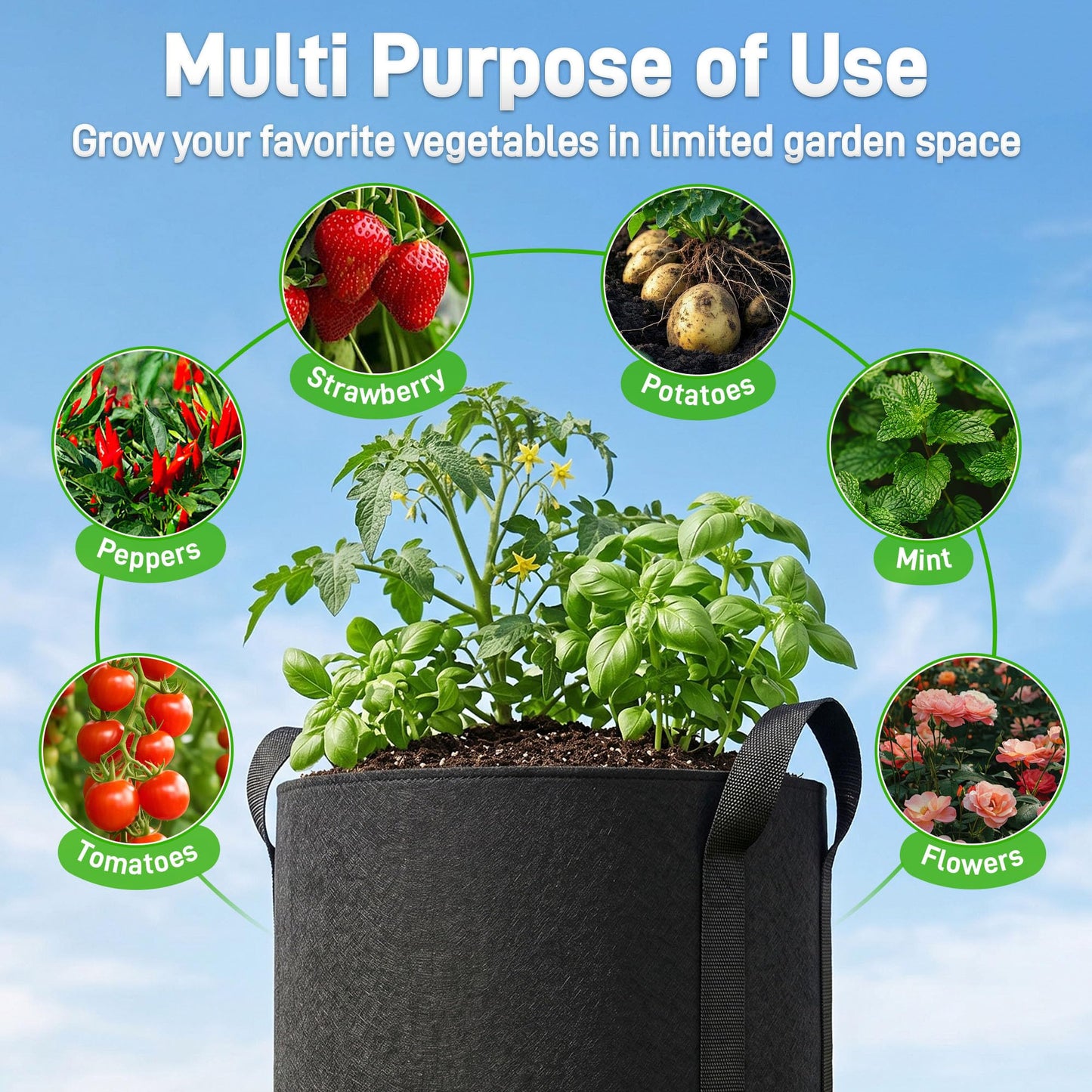 Mulctun 3Pcs 20 Gallon Potato Grow Bags, Grow Bags with Harvest & Visible Windows,Potato Bags for Growing Potatoes with Sturdy Handles,Potato Growing Containers for Growing Potatoes Vegetables