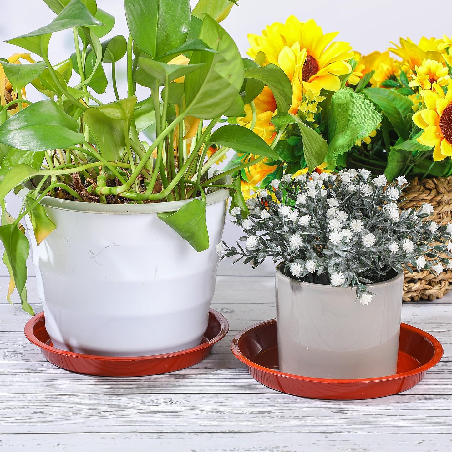Domesni 100 Pcs Plastic Plant Saucer - Bulk Plant Trays for Indoor & Outdoor Pots - Sturdy Red Drip Trays for Flower Pots (10 Inches)