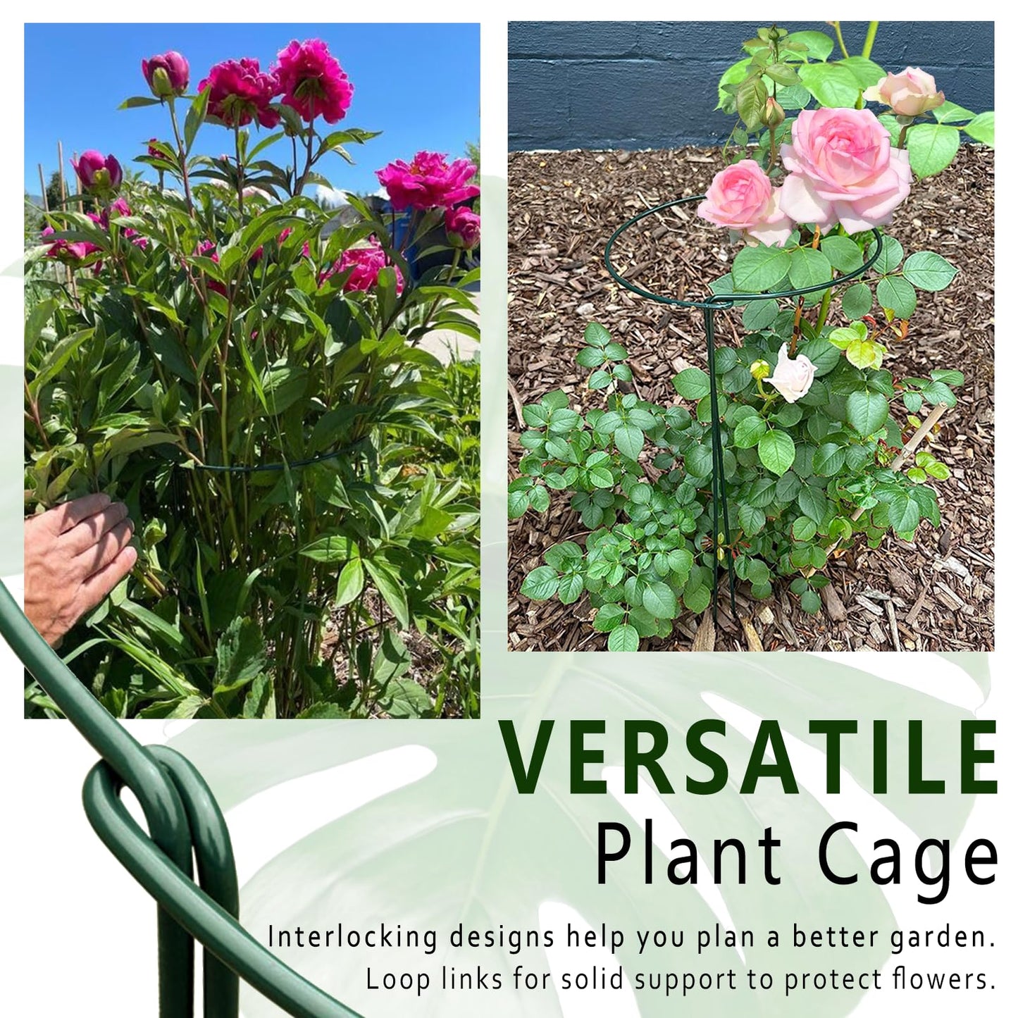 6 Pack Threaded Lock Metal Plant Support Stakes - 25" H Tall Peony Cage, Reusable Detachable Garden Ring for Hydrangea/Rose Bush/Potted Flowers, Indoor Outdoor Heavy Duty (10" W)