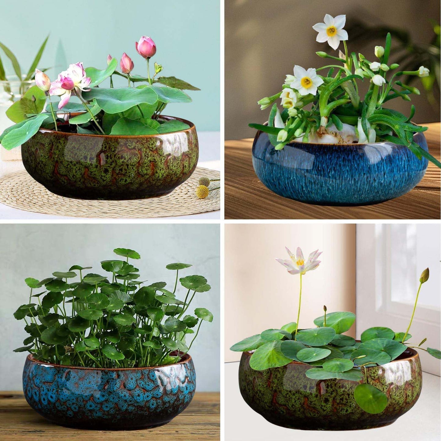Lotus Bowl Planter, Lotus Bowls for Planting in Water Indoors, Bonsai Bowl Lotus Flower Seeds, Ceramic Planters for Indoor Plants, Applicable to Succulent Plants Hydroponic Plant. (Kiln Turning Blue)