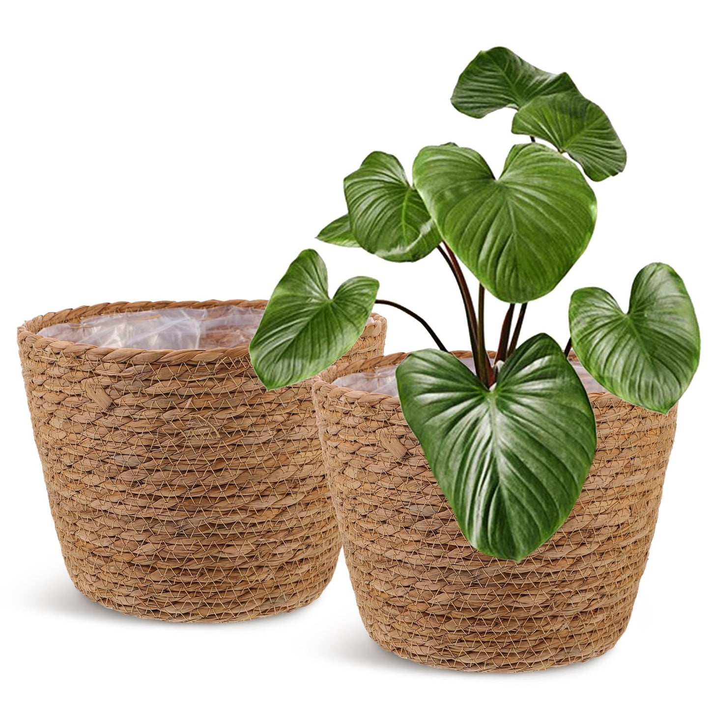Wicker Planter Baskets with Plastic Liner: 2Pcs Round Seagrass Planter Storage Baskets, Straw Woven Rattan Flower Plants Pot Covers for Indoor Outdoor, Rustic Boho Farmhouse Decor 9 X 9 X 6.5''
