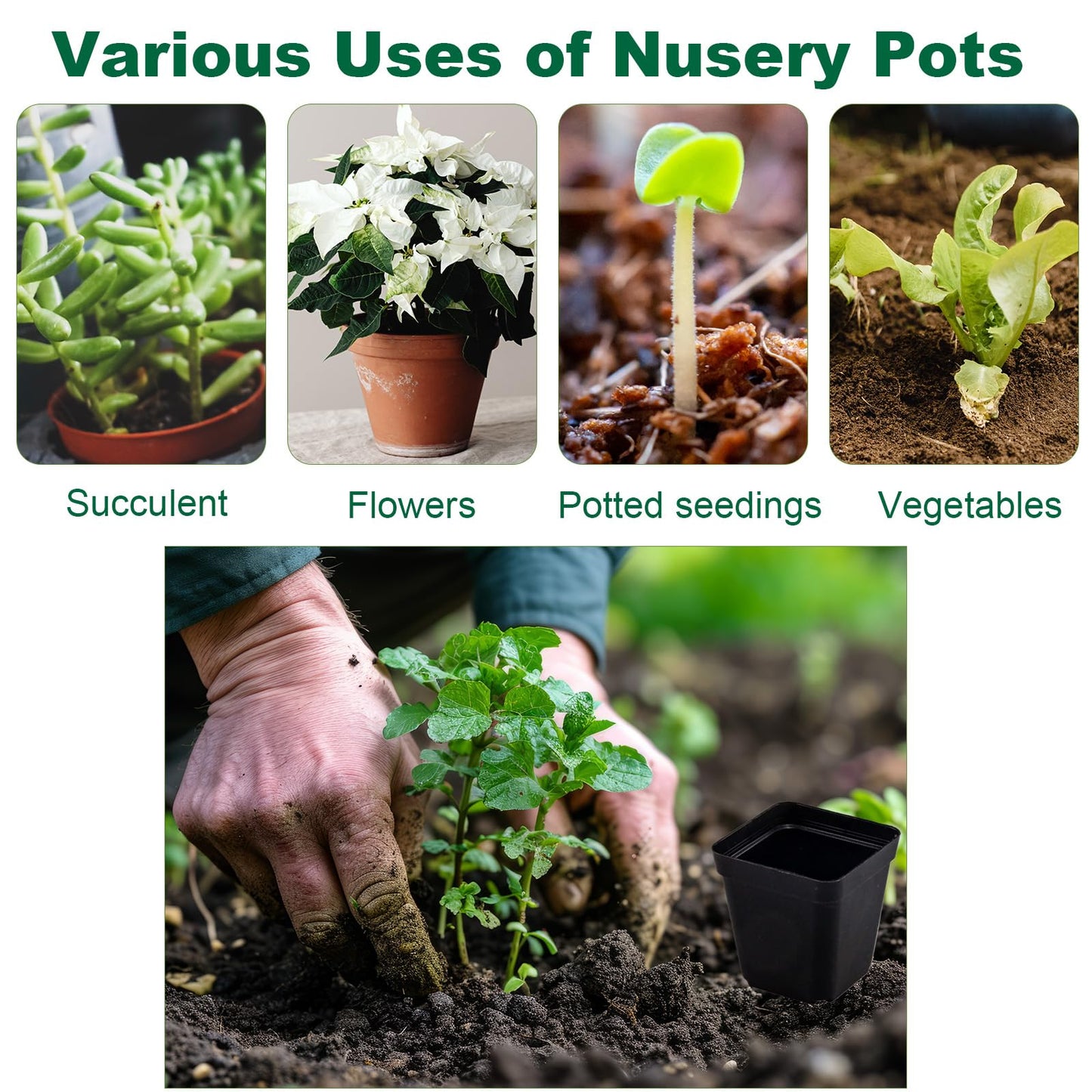 Tulpeed 100 Packs Square Nursery Pots for Plants 4 Inch Succulent Plant Pots Set Plastic Seedling Starting Pots with Drainage Holes Nursery Pots Variety Pack Flower pots Planter Seed Starter, Black
