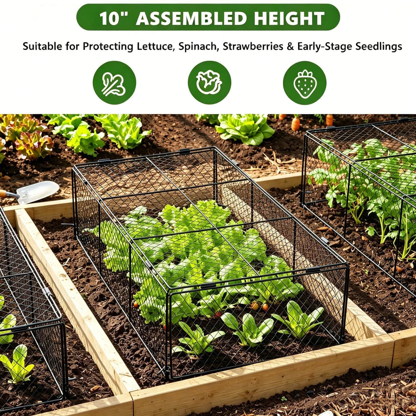 3 Pack Plant Protectors from Animals, Garden Cloches for Plants, Rustproof Chicken Wire Cloche Plant Cages to Keep Animals Out, Sturdy Metal Garden Cages for Outdoor Plants, 40" L × 20.5" W × 10" H