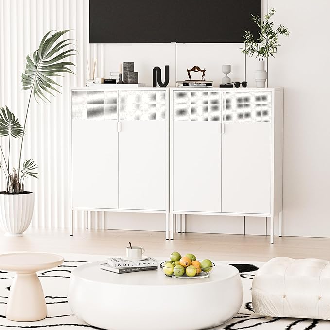 Washsemba 2 Mesh Door Metal Storage Cabinet
