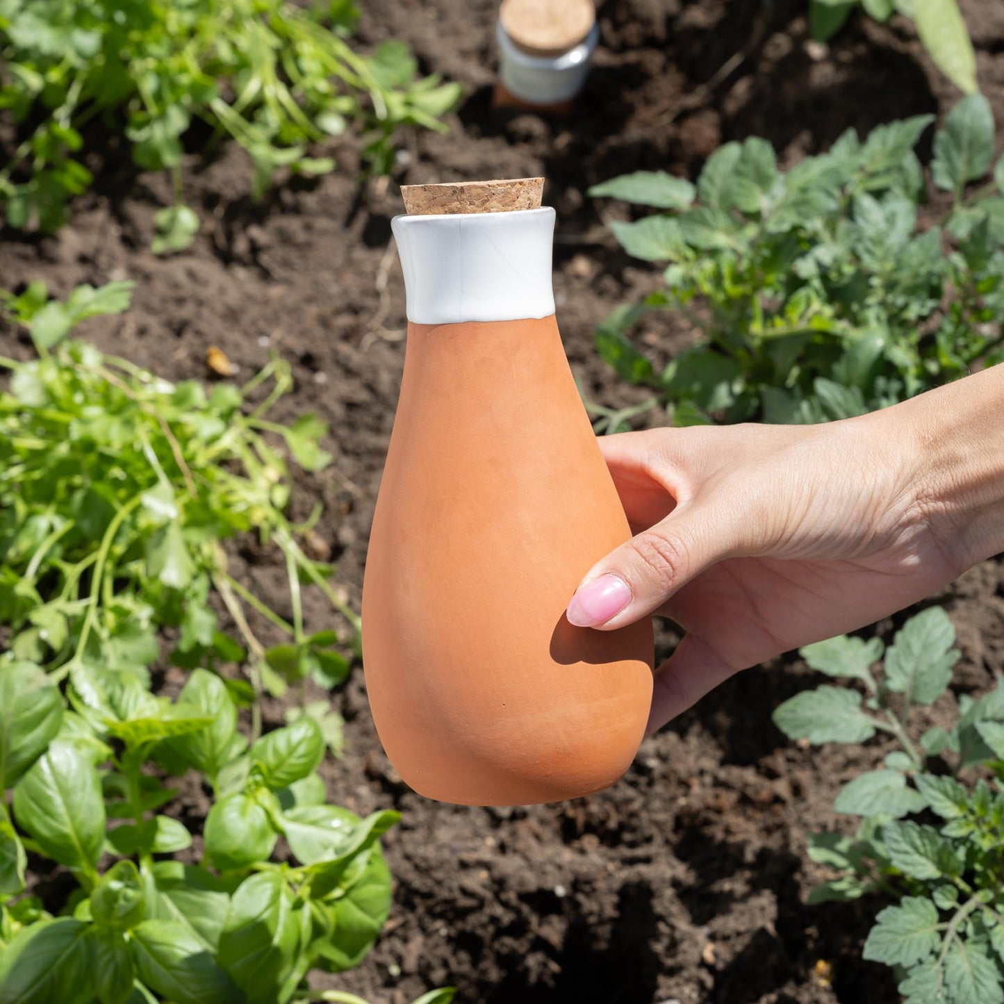Everbrook Plant Self Watering Globes - Terracotta Watering Spikes - Slow Release Olla Watering Pots - Drip Irrigiation Olla System