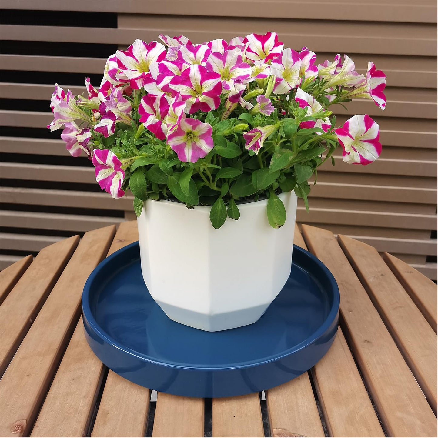 Fzfeiyy Ceramic Plant Saucer Pot Tray 10 Inch, Blue Planter Saucers 5 7 9 10 12 Inch for Indoors Outdoor, Flower Pot Saucers for Holding Water Drips and Soil