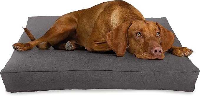 Medium - 36 x 24 x 5 - Shadow Gray Premium Org Hemp Dog Bed - CertiPUR Fill - Removeable Cover